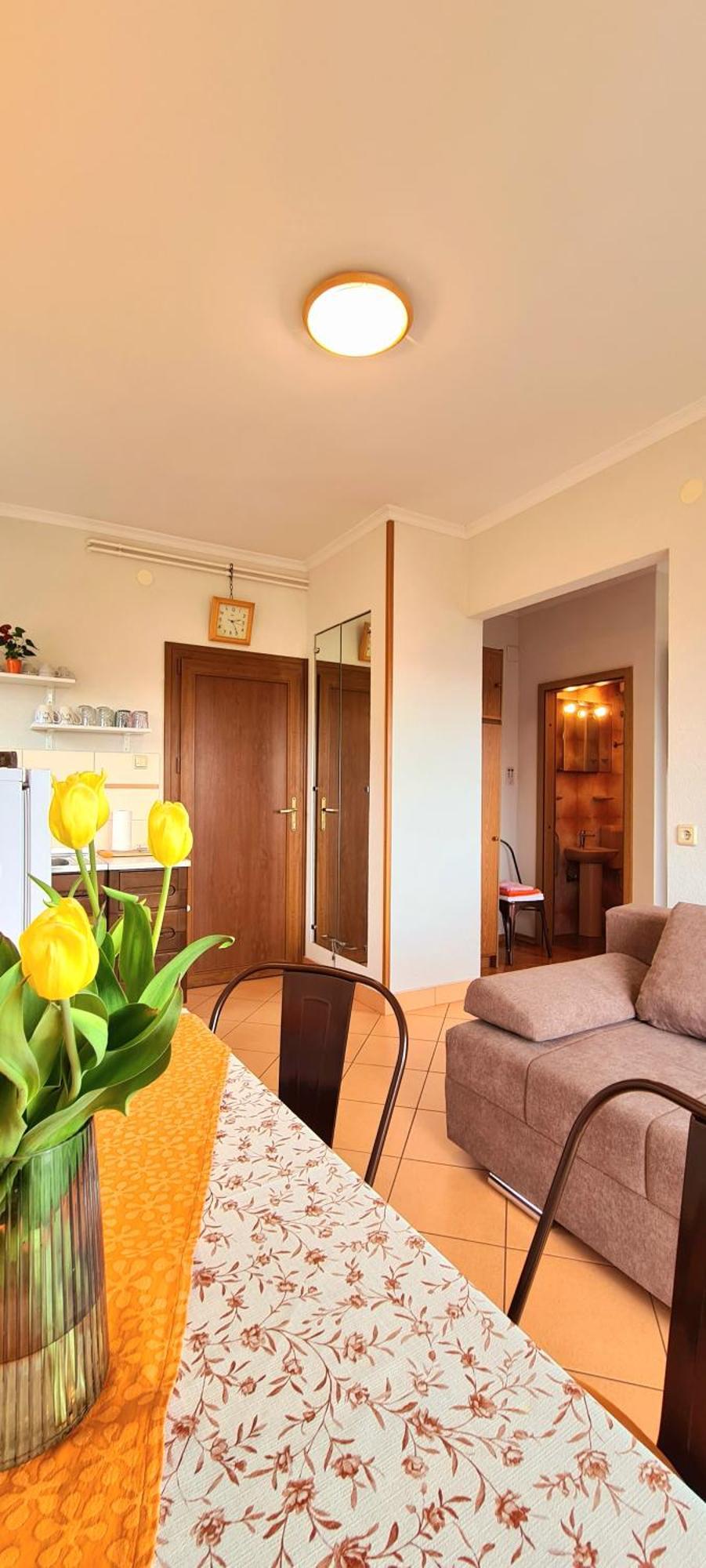 Karlito Apartment ซริกเวนิซา ภายนอก รูปภาพ